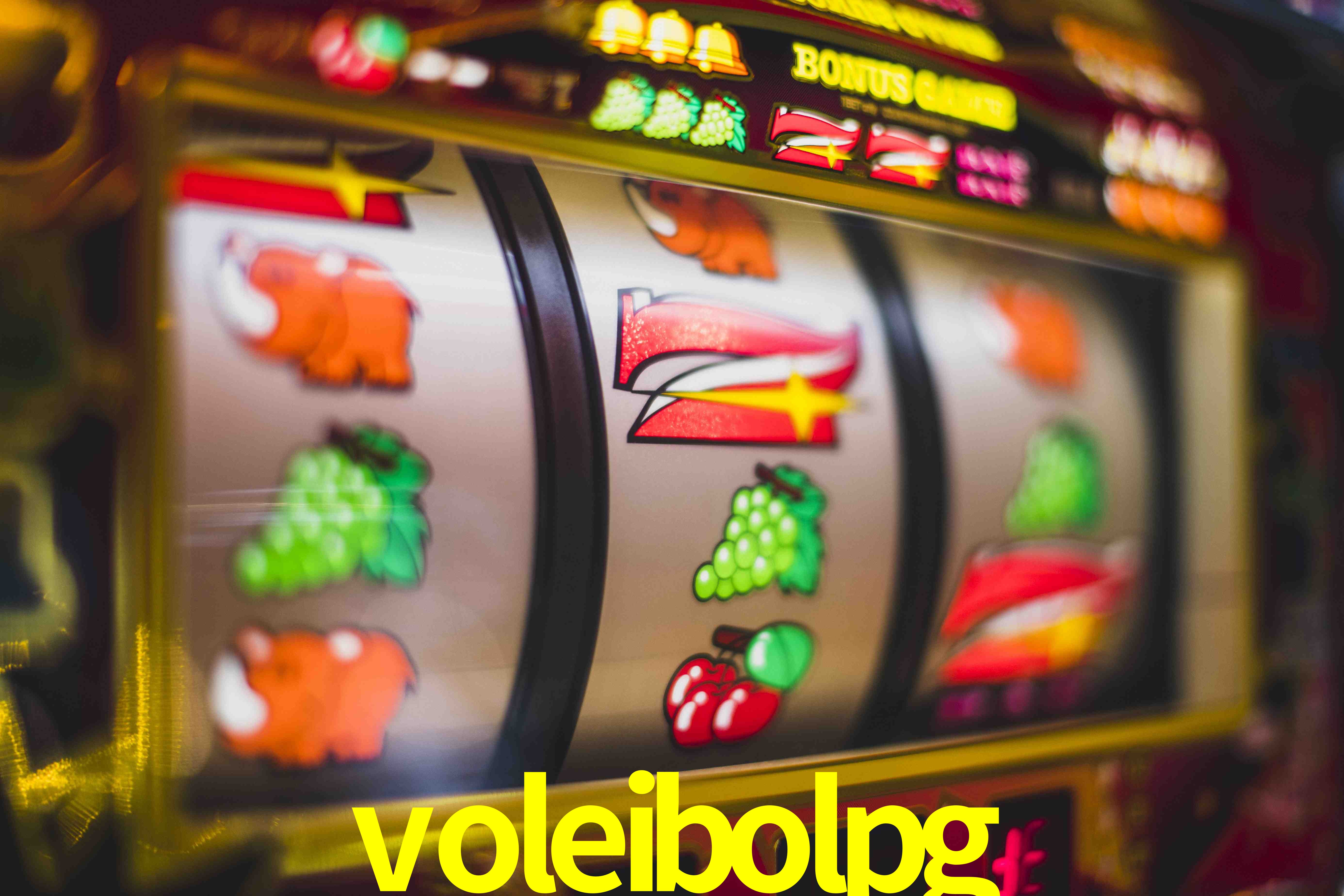 Live Casino voleibolpg