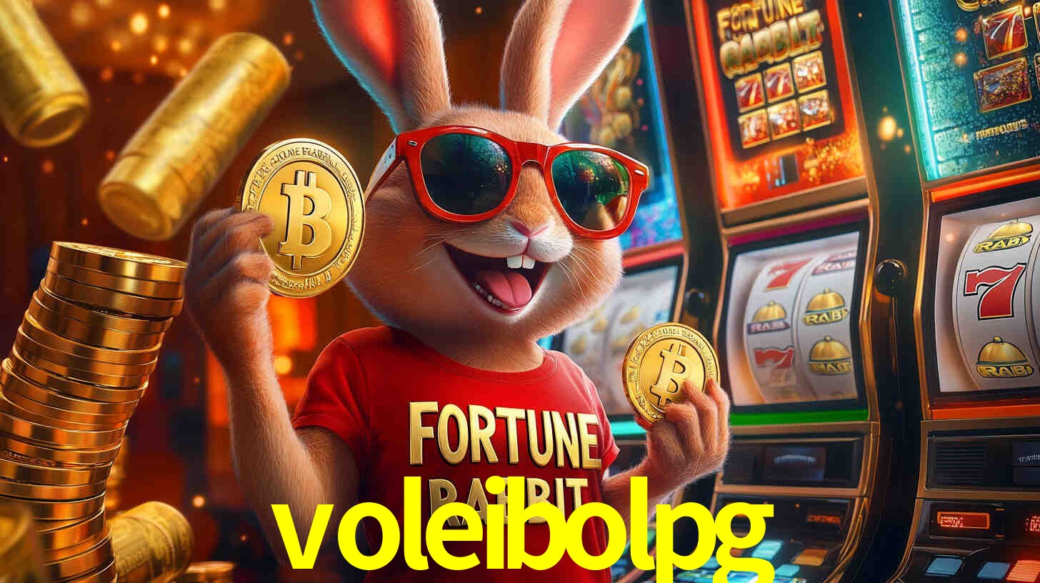 Programa VIP voleibolpg